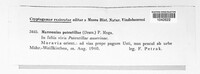 Diplocarpon earlianum image